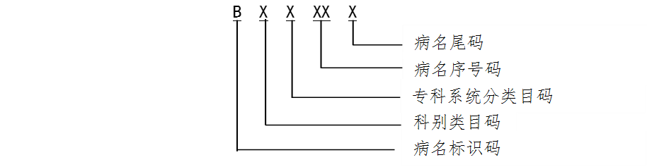 1图3中医病名和证候名编码结构.png